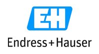 Endress + Hauser